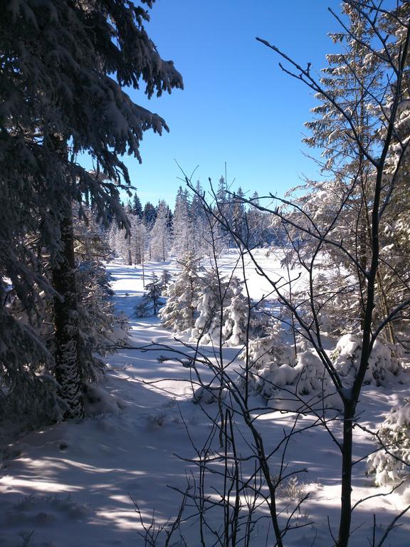 Schwarzwald-Chalet Feldberg Feldberg  Ngoại thất bức ảnh