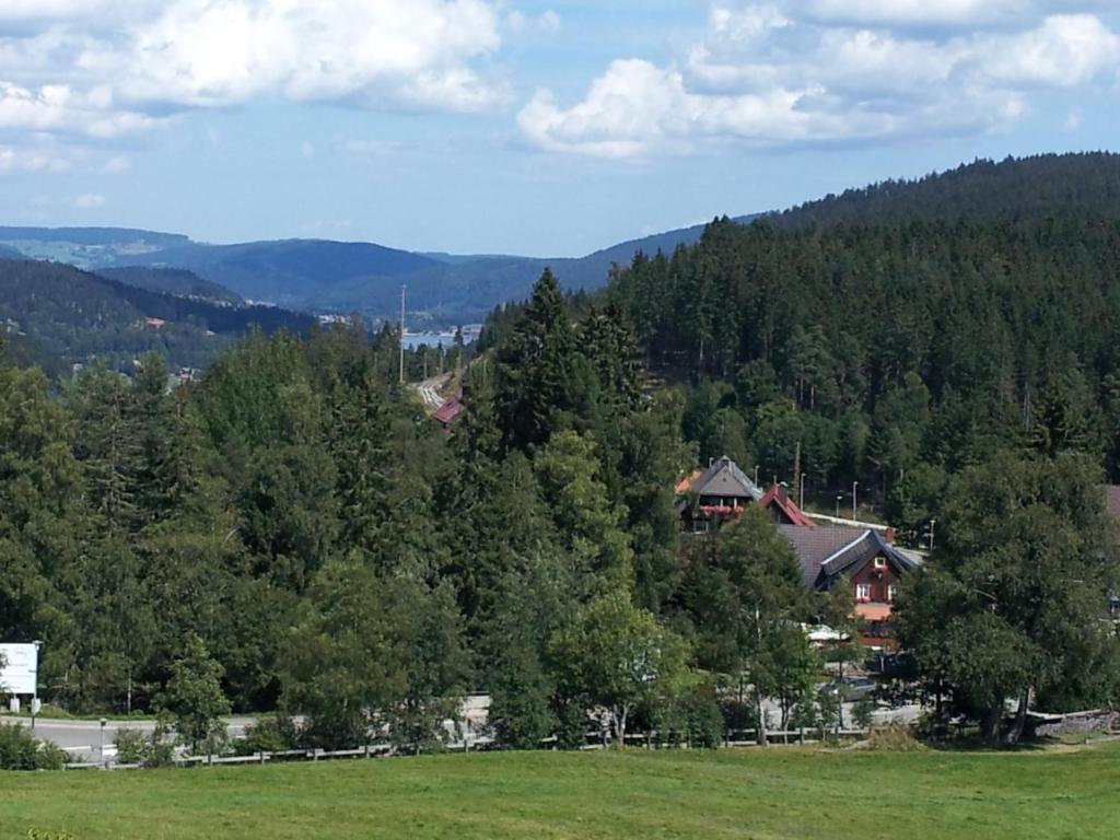 Schwarzwald-Chalet Feldberg Feldberg  Ngoại thất bức ảnh